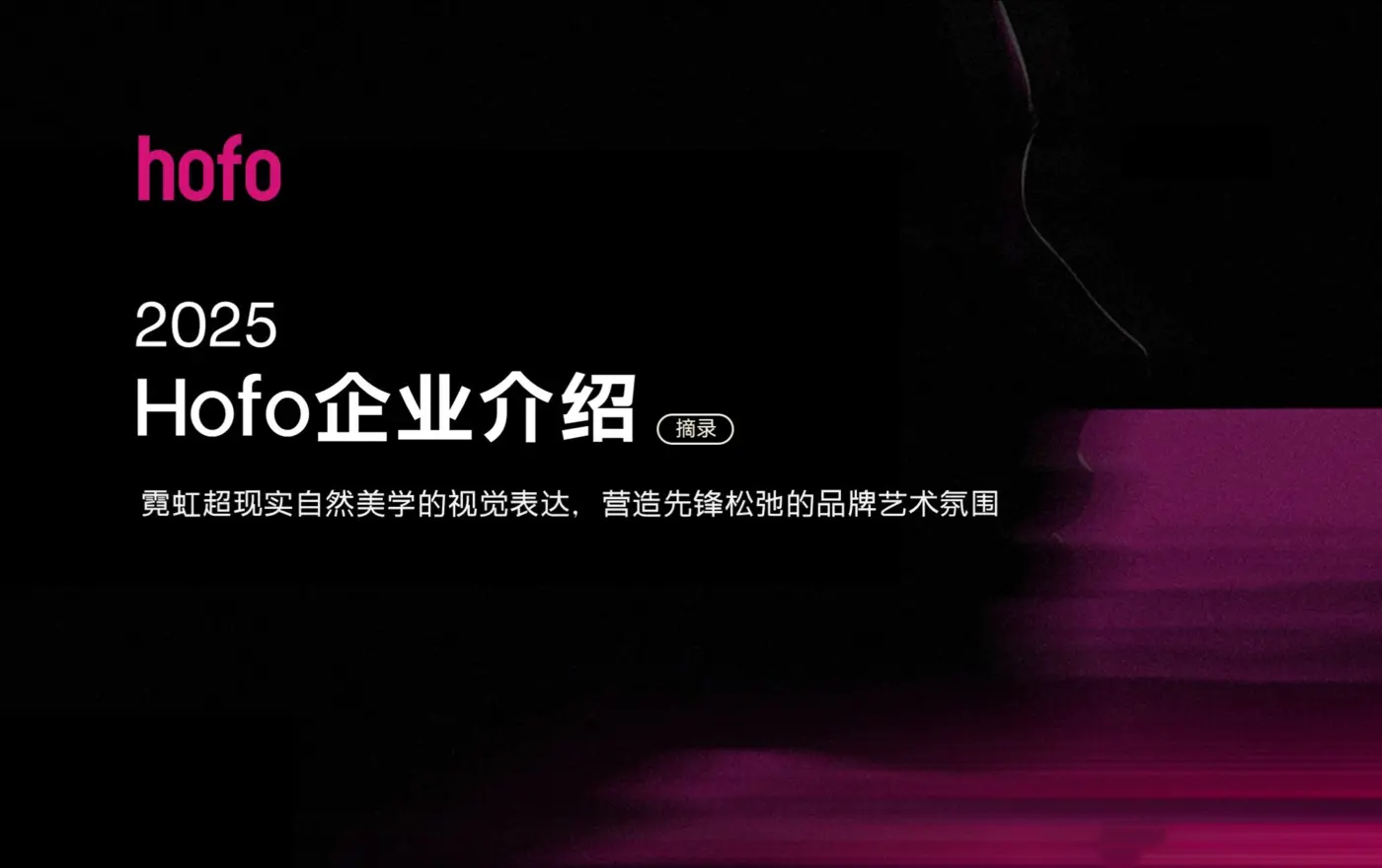 Hofo 企业介绍案例