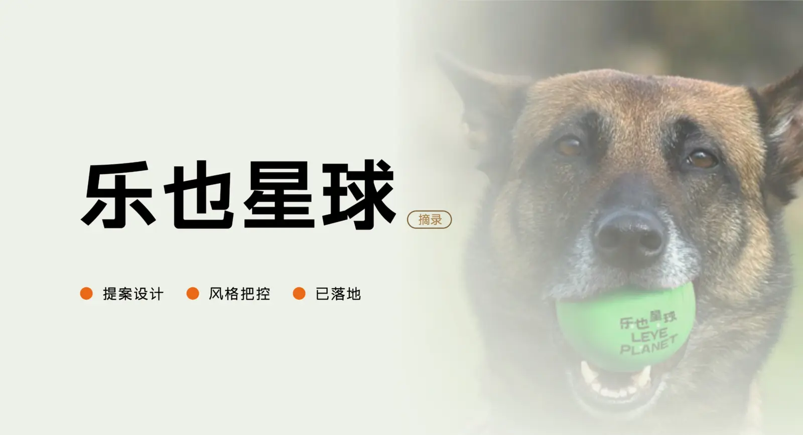 乐也星球品牌设计案例